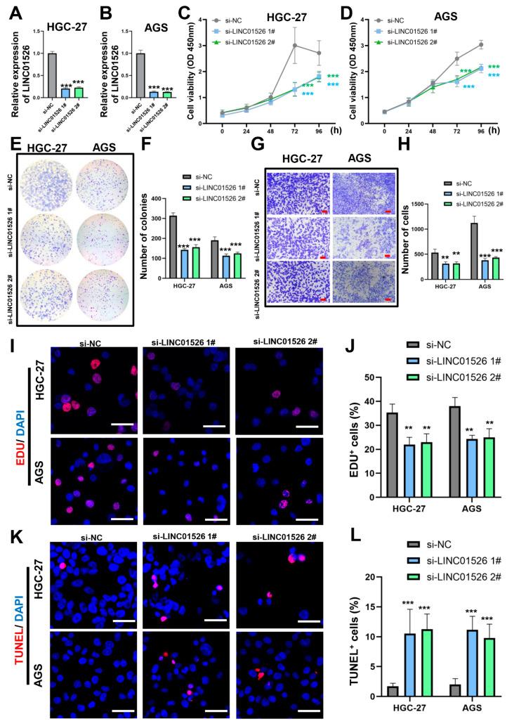 https://cdn.ncbi.nlm.nih.gov/pmc/blobs/0abf/9562272/8178ddadea48/cancers-14-04940-g002.jpg