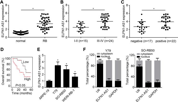 https://cdn.ncbi.nlm.nih.gov/pmc/blobs/0ac0/7872934/d99af616872a/CMAR-13-1067-g0001.jpg