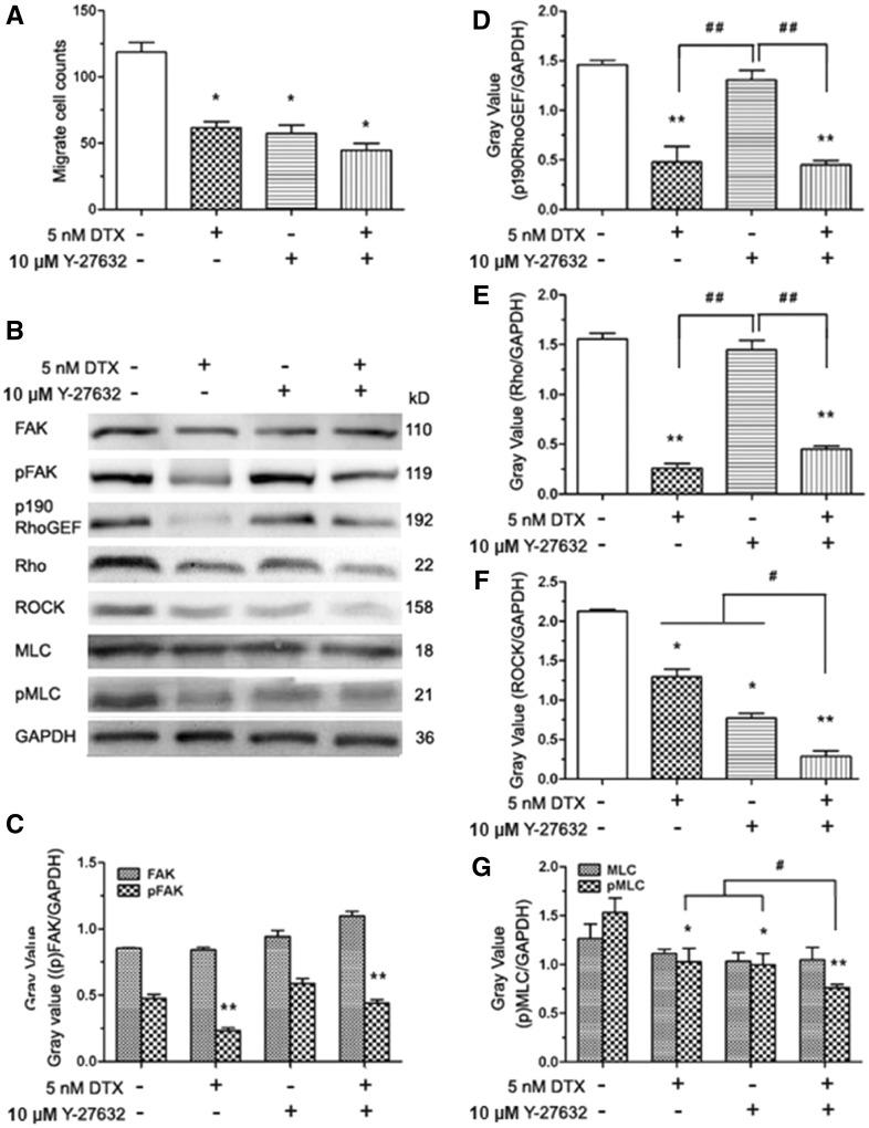 https://cdn.ncbi.nlm.nih.gov/pmc/blobs/0ac2/5458539/40f24349f011/rbx010f9.jpg