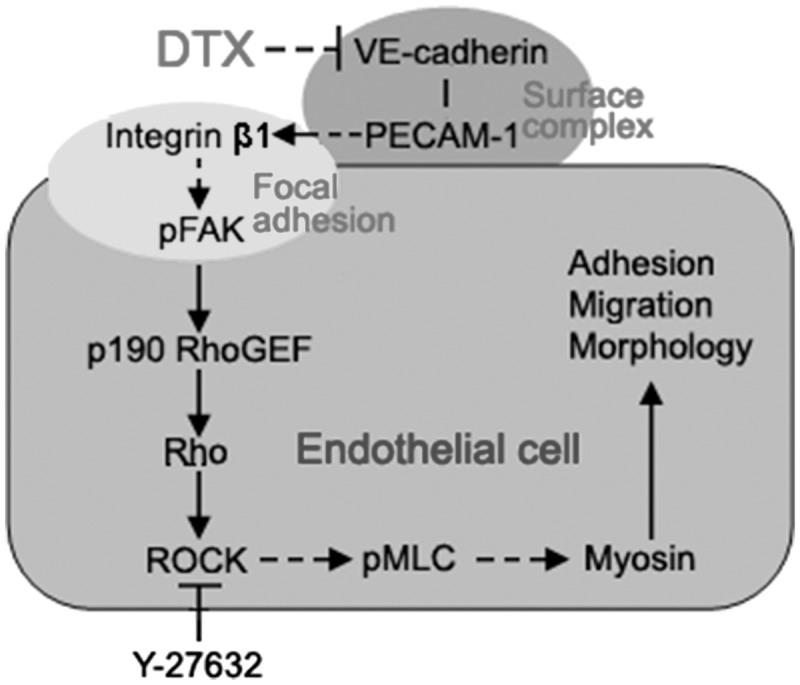 https://cdn.ncbi.nlm.nih.gov/pmc/blobs/0ac2/5458539/f58bdfe2fd25/rbx010f10.jpg