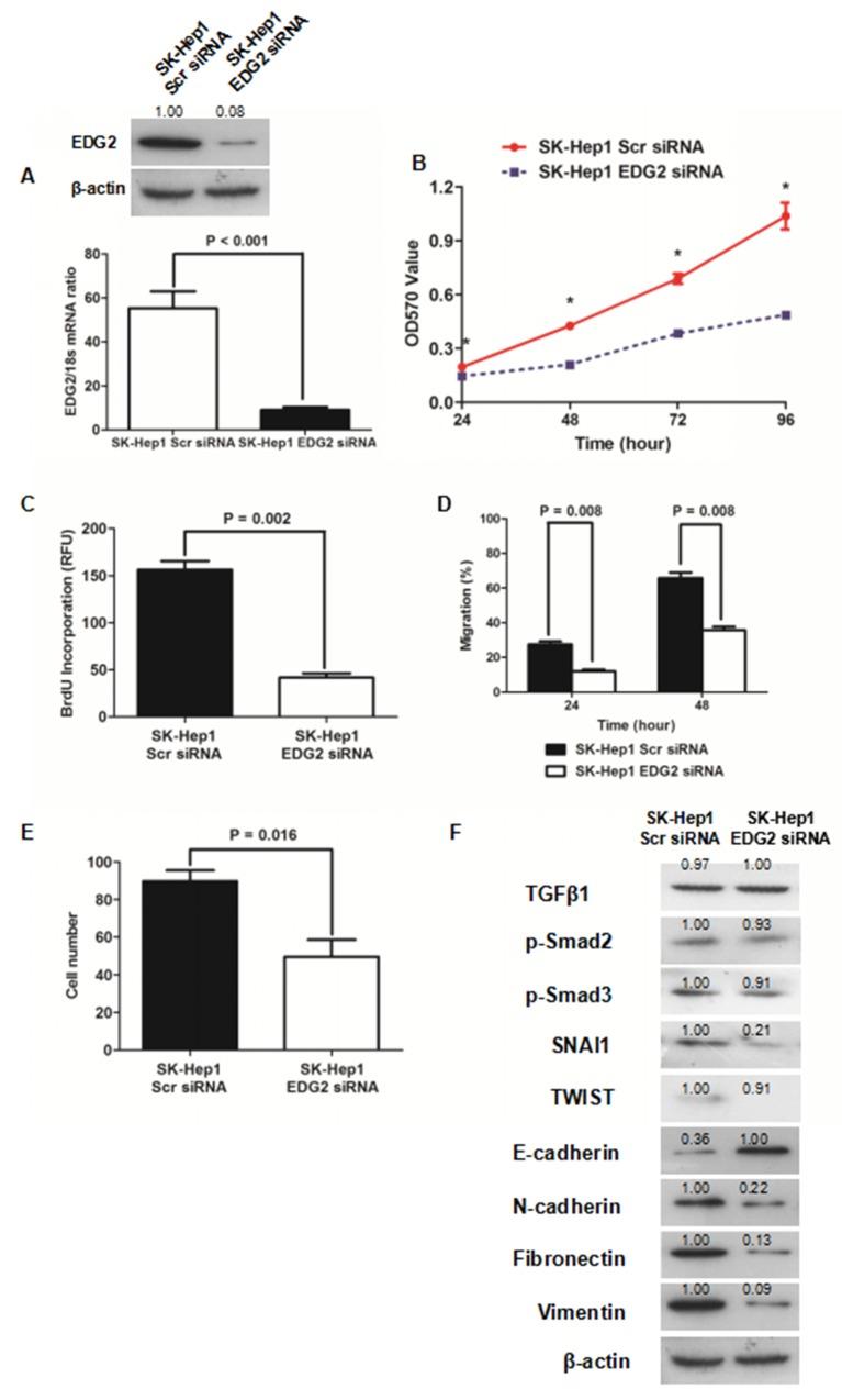 https://cdn.ncbi.nlm.nih.gov/pmc/blobs/0ac2/5630400/5d07c4925cbe/oncotarget-08-66154-g003.jpg
