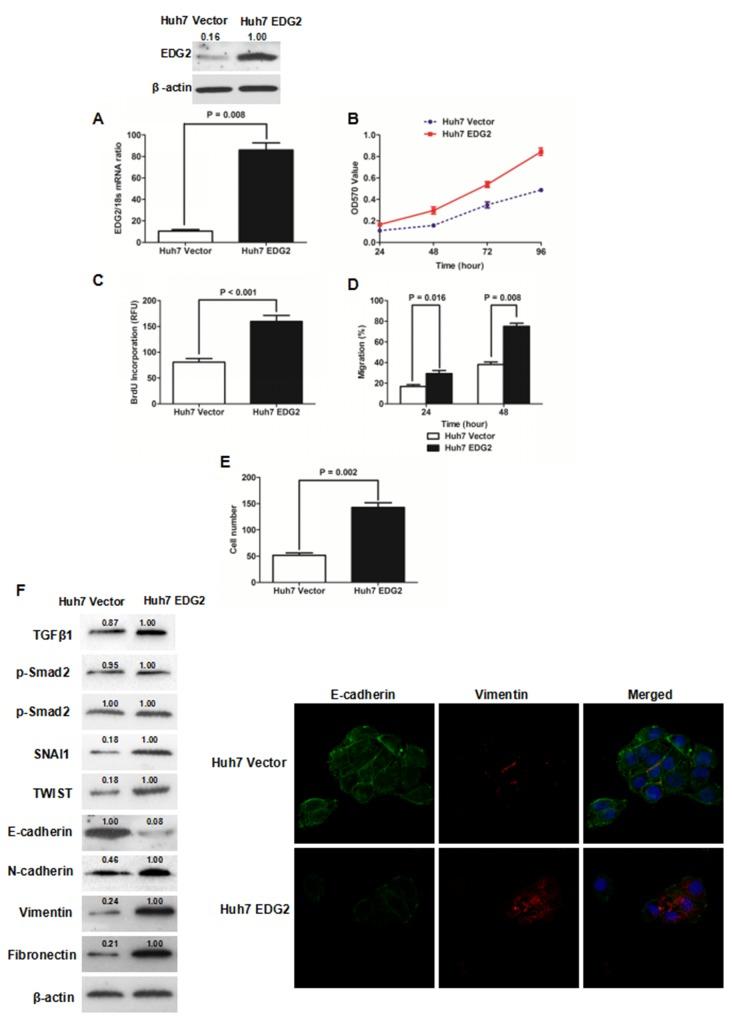 https://cdn.ncbi.nlm.nih.gov/pmc/blobs/0ac2/5630400/c1ef346cb8cc/oncotarget-08-66154-g002.jpg
