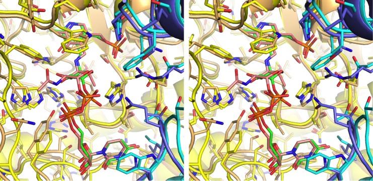 https://cdn.ncbi.nlm.nih.gov/pmc/blobs/0acb/3985747/e414cdee1a5c/bi-2013-015677_0005.jpg