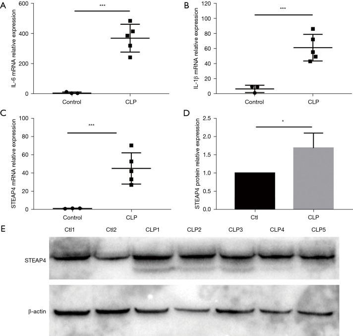 https://cdn.ncbi.nlm.nih.gov/pmc/blobs/0acc/8576732/424cbd36bd73/atm-09-20-1519-f8.jpg