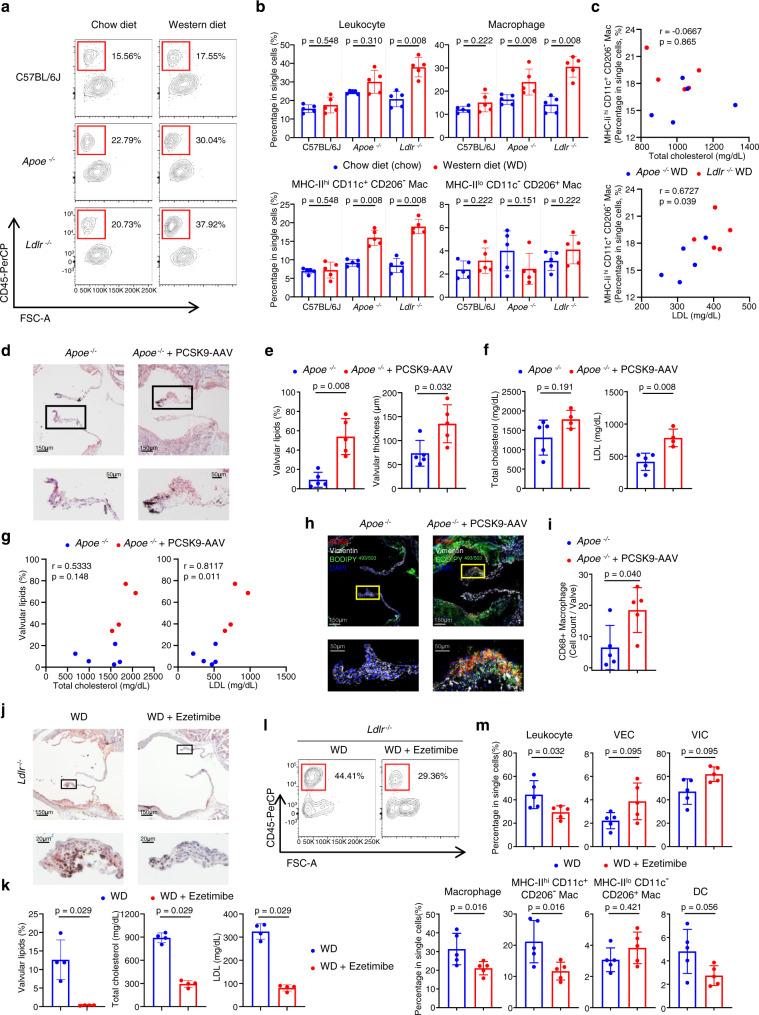 https://cdn.ncbi.nlm.nih.gov/pmc/blobs/0acc/9482653/2be3f59943ac/41467_2022_33202_Fig2_HTML.jpg