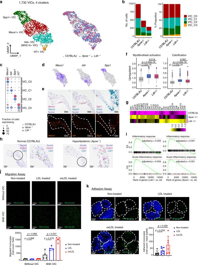 https://cdn.ncbi.nlm.nih.gov/pmc/blobs/0acc/9482653/585535f83708/41467_2022_33202_Fig5_HTML.jpg