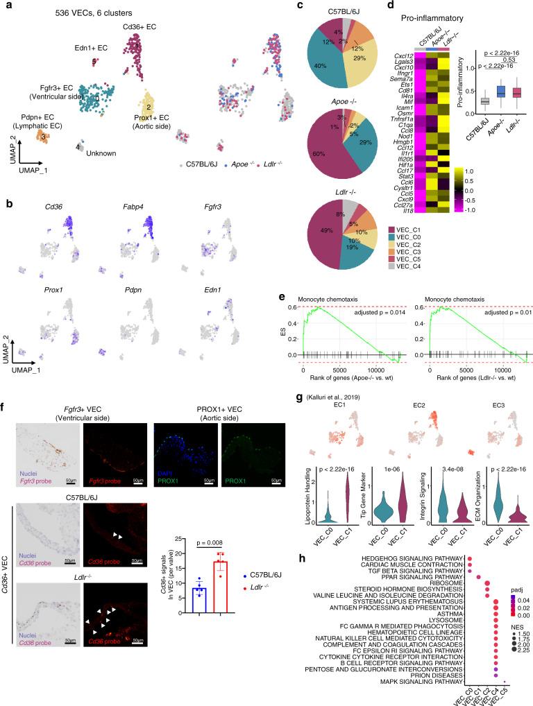 https://cdn.ncbi.nlm.nih.gov/pmc/blobs/0acc/9482653/5e1daa9644cd/41467_2022_33202_Fig6_HTML.jpg