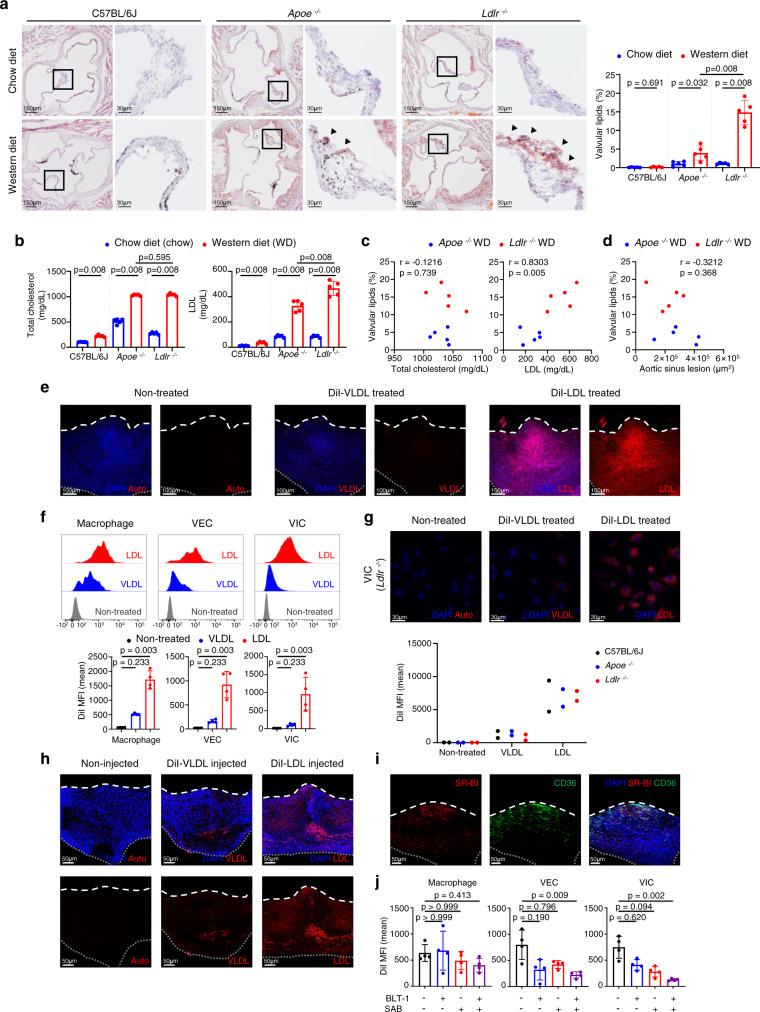 https://cdn.ncbi.nlm.nih.gov/pmc/blobs/0acc/9482653/b5e60f1800a5/41467_2022_33202_Fig1_HTML.jpg