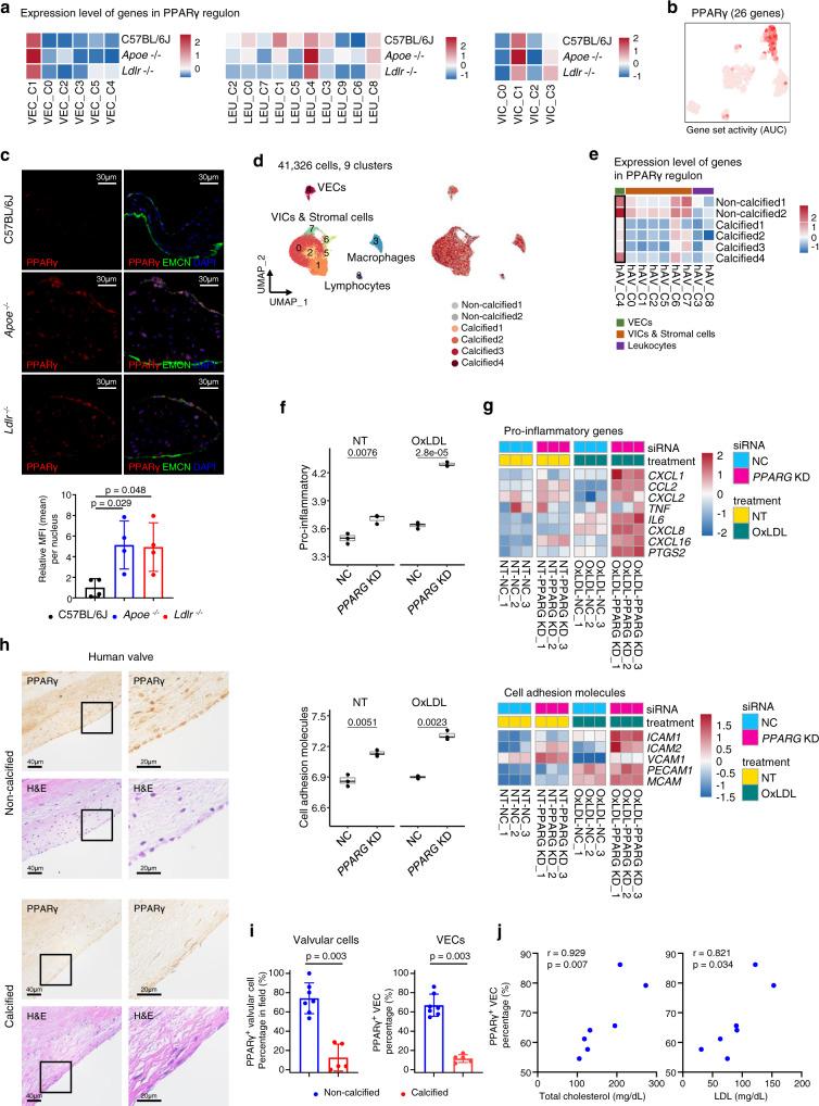 https://cdn.ncbi.nlm.nih.gov/pmc/blobs/0acc/9482653/ba8c6be01b5c/41467_2022_33202_Fig7_HTML.jpg