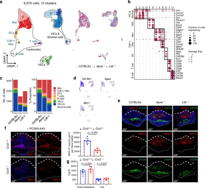https://cdn.ncbi.nlm.nih.gov/pmc/blobs/0acc/9482653/fb8bf558feb2/41467_2022_33202_Fig3_HTML.jpg