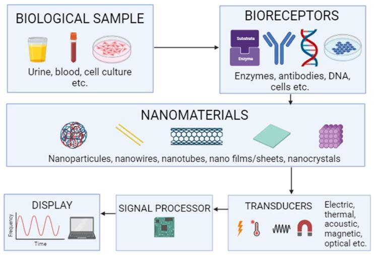 https://cdn.ncbi.nlm.nih.gov/pmc/blobs/0acd/10706257/040bfa6f9b34/ijms-24-16719-g002.jpg
