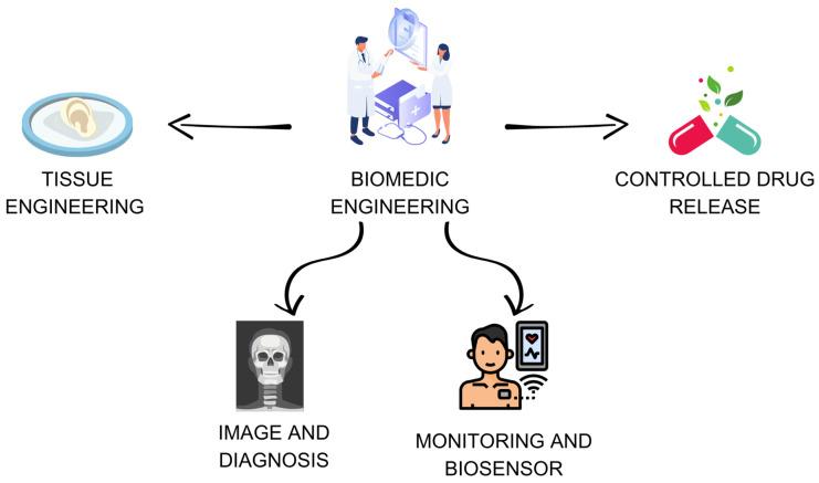 https://cdn.ncbi.nlm.nih.gov/pmc/blobs/0acd/10706257/865d2a66a18c/ijms-24-16719-g001.jpg