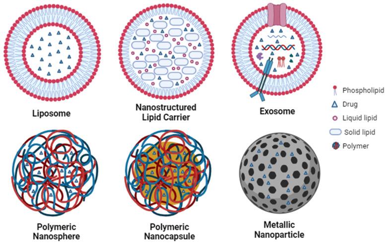 https://cdn.ncbi.nlm.nih.gov/pmc/blobs/0acd/10706257/bcc0d1120214/ijms-24-16719-g003.jpg