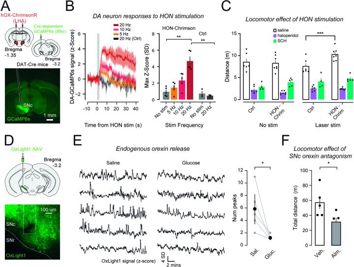 https://cdn.ncbi.nlm.nih.gov/pmc/blobs/0ad1/11239495/936b5c5dc443/41593_2024_1648_Fig10_ESM.jpg