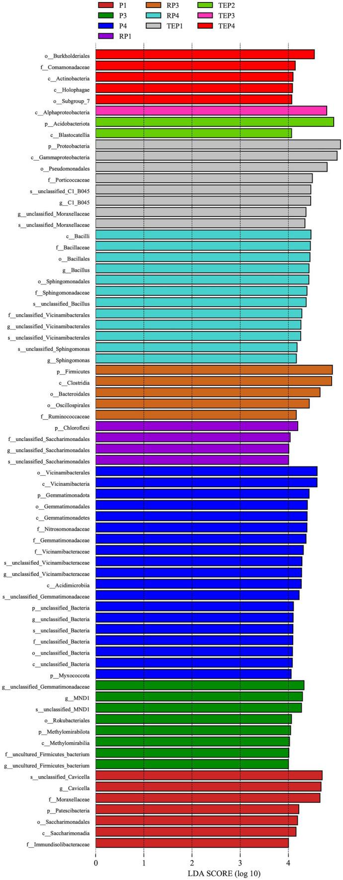 https://cdn.ncbi.nlm.nih.gov/pmc/blobs/0ad2/11148334/b885e3eb92d8/fmicb-15-1343366-g007.jpg