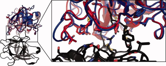 https://cdn.ncbi.nlm.nih.gov/pmc/blobs/0ad2/3528067/57de07103309/prot0078-3212-fig003.jpg