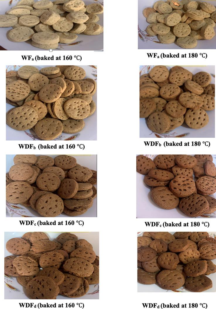 https://cdn.ncbi.nlm.nih.gov/pmc/blobs/0ad4/9961095/f198019d1d4f/peerj-11-14876-g003.jpg
