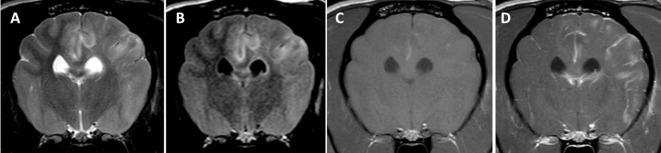 https://cdn.ncbi.nlm.nih.gov/pmc/blobs/0ad7/5723069/67c0e2c1503a/fvets-04-00203-g004.jpg