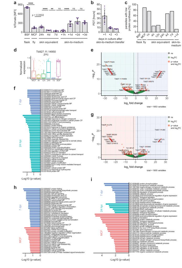 https://cdn.ncbi.nlm.nih.gov/pmc/blobs/0ad8/10667367/a08e05bfa551/41467_2023_43437_Fig5_HTML.jpg