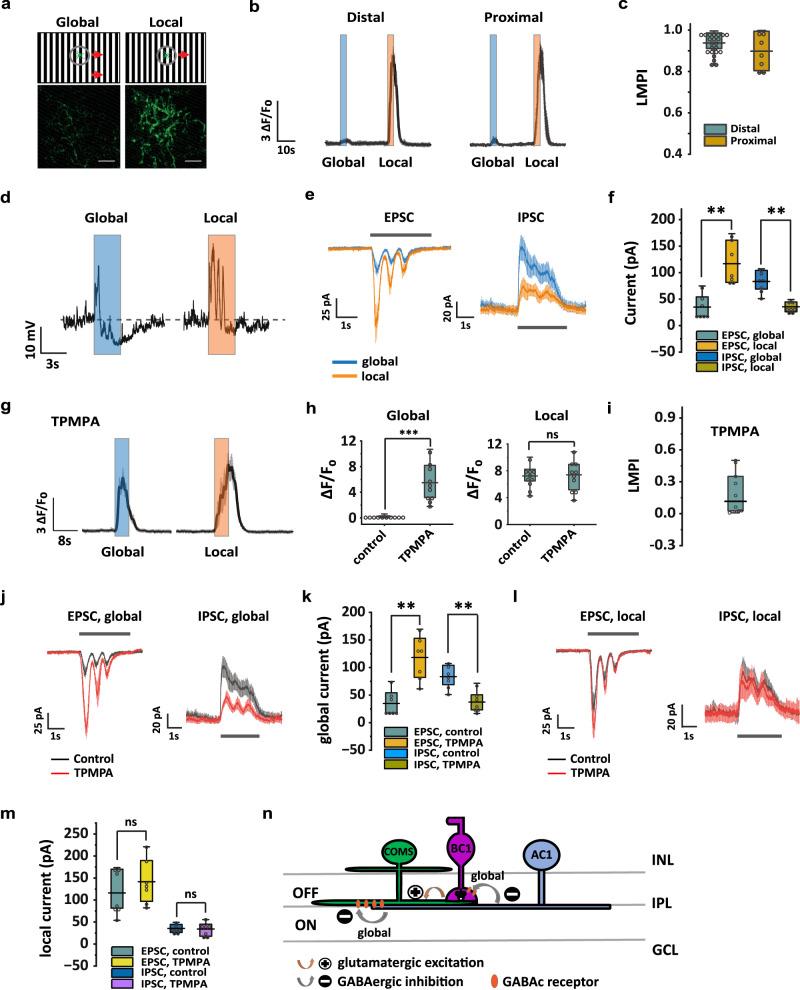 https://cdn.ncbi.nlm.nih.gov/pmc/blobs/0ad8/10679153/2eb8d077027b/41467_2023_43382_Fig4_HTML.jpg
