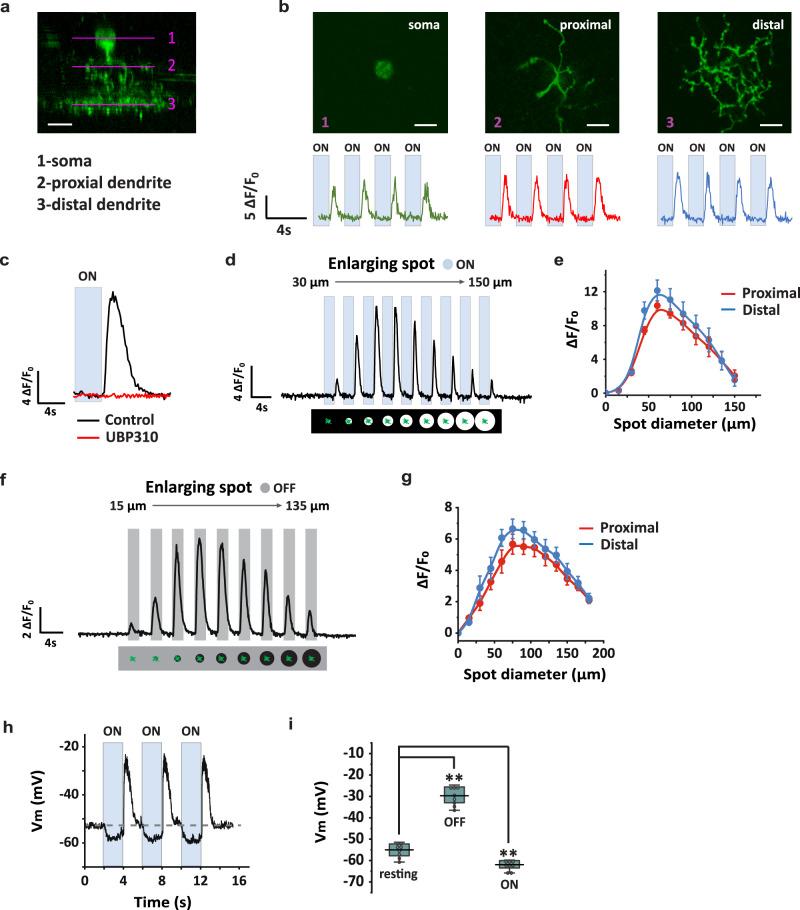 https://cdn.ncbi.nlm.nih.gov/pmc/blobs/0ad8/10679153/751d2cd9be4d/41467_2023_43382_Fig2_HTML.jpg