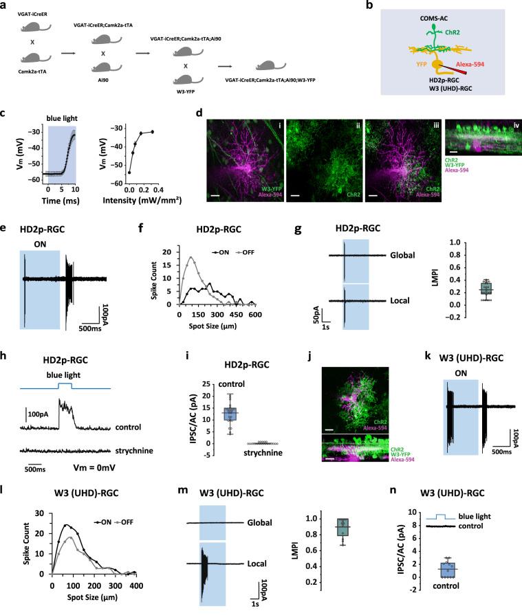 https://cdn.ncbi.nlm.nih.gov/pmc/blobs/0ad8/10679153/f9dd9478ac6b/41467_2023_43382_Fig5_HTML.jpg