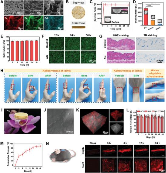 https://cdn.ncbi.nlm.nih.gov/pmc/blobs/0ad8/11095230/b14d09539425/ADVS-11-2307630-g003.jpg