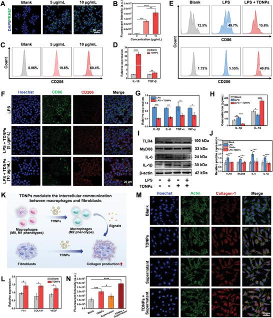 https://cdn.ncbi.nlm.nih.gov/pmc/blobs/0ad8/11095230/e8a28a0db5a5/ADVS-11-2307630-g001.jpg