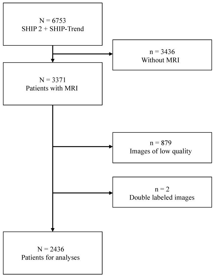 https://cdn.ncbi.nlm.nih.gov/pmc/blobs/0ad8/11205057/176111b5419b/jcm-13-03598-g009.jpg