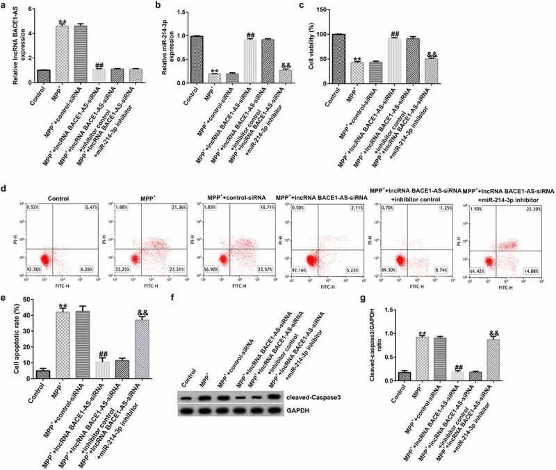 https://cdn.ncbi.nlm.nih.gov/pmc/blobs/0ad9/9208522/9fad98aacc3e/KBIE_A_2066750_F0003_OC.jpg