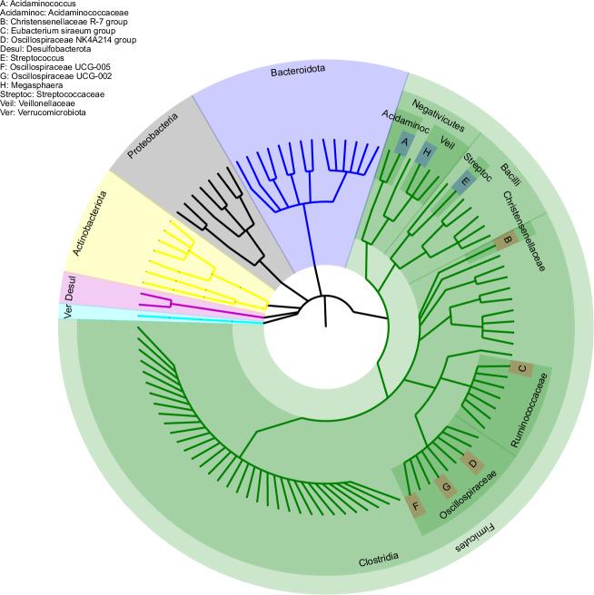 https://cdn.ncbi.nlm.nih.gov/pmc/blobs/0ade/12038053/37c791fa9ce4/41522_2025_707_Fig3_HTML.jpg