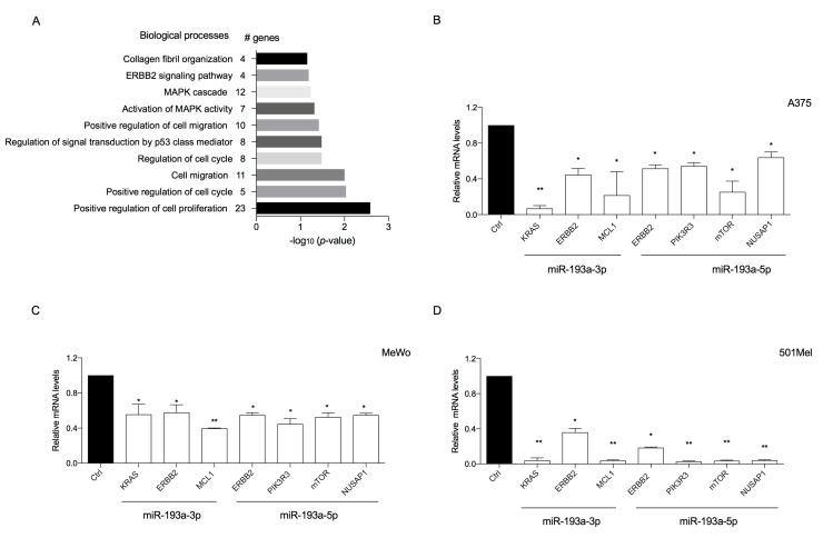 https://cdn.ncbi.nlm.nih.gov/pmc/blobs/0adf/7503447/496d75628166/ijms-21-06183-g003.jpg