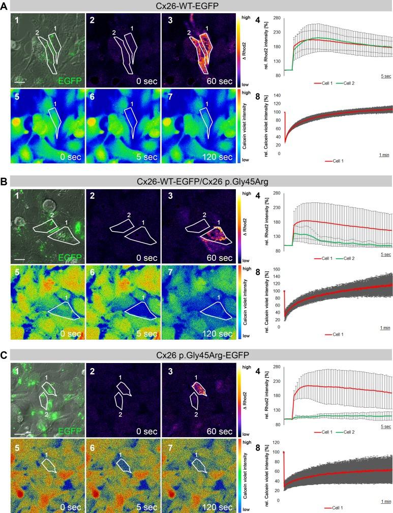 https://cdn.ncbi.nlm.nih.gov/pmc/blobs/0ae0/5068369/30297b2bdccb/peerj-04-2494-g003.jpg