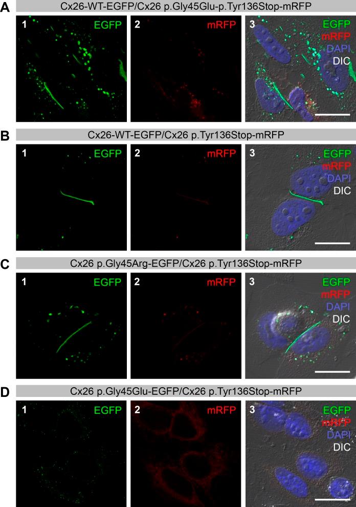https://cdn.ncbi.nlm.nih.gov/pmc/blobs/0ae0/5068369/6f28088ea0f7/peerj-04-2494-g002.jpg