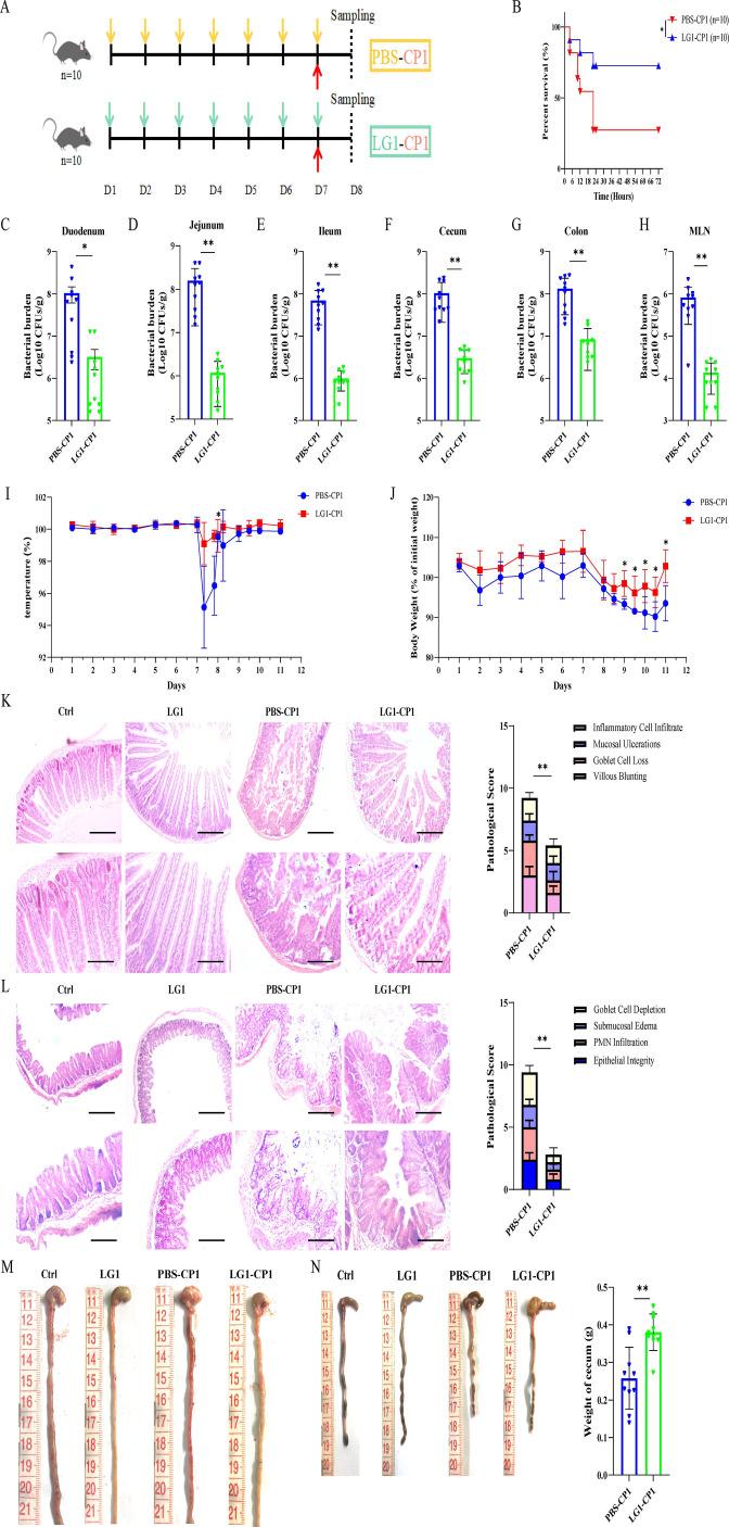 https://cdn.ncbi.nlm.nih.gov/pmc/blobs/0ae3/11448249/45854a0cb7d6/spectrum.04025-23.f001.jpg