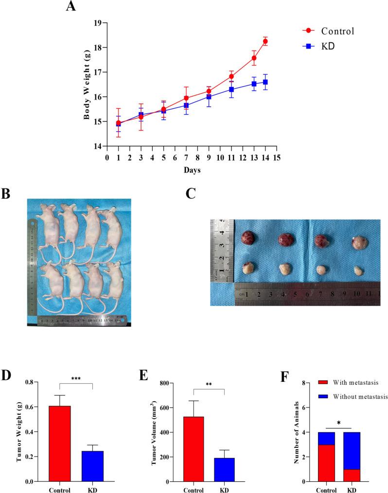 https://cdn.ncbi.nlm.nih.gov/pmc/blobs/0ae4/11330135/1c37e7a78ca4/12935_2024_3477_Fig15_HTML.jpg