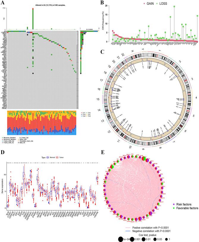 https://cdn.ncbi.nlm.nih.gov/pmc/blobs/0ae4/11330135/2115ba5148ae/12935_2024_3477_Fig2_HTML.jpg