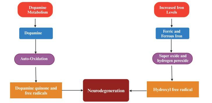 https://cdn.ncbi.nlm.nih.gov/pmc/blobs/0ae5/10997929/93825d36d423/apb-14-147-g005.jpg