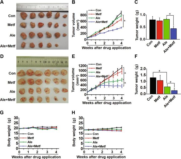 https://cdn.ncbi.nlm.nih.gov/pmc/blobs/0ae7/7010683/0992731f1f0a/41419_2020_2307_Fig7_HTML.jpg