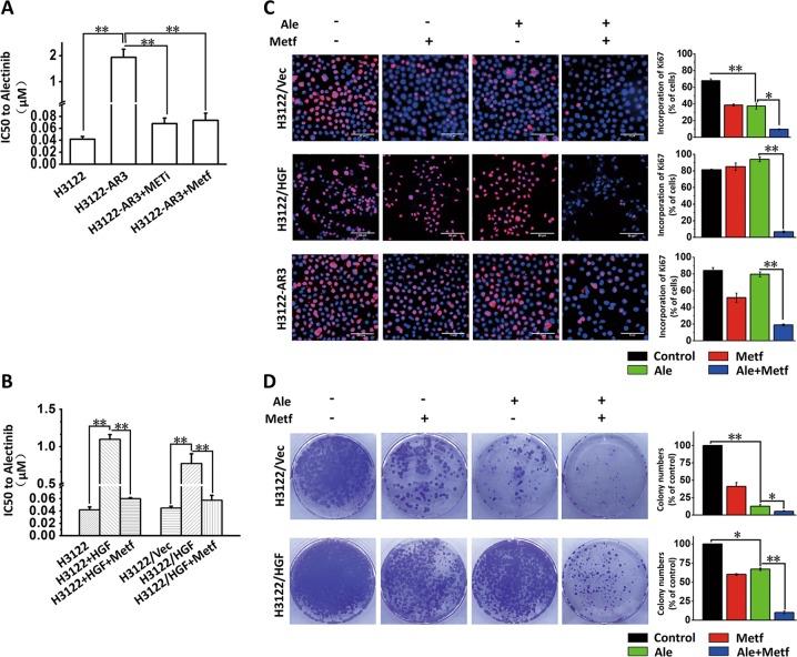 https://cdn.ncbi.nlm.nih.gov/pmc/blobs/0ae7/7010683/0a34c3b10852/41419_2020_2307_Fig2_HTML.jpg