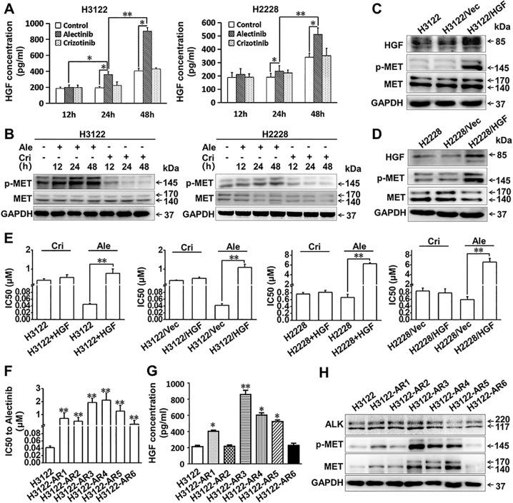 https://cdn.ncbi.nlm.nih.gov/pmc/blobs/0ae7/7010683/744753a2b566/41419_2020_2307_Fig1_HTML.jpg