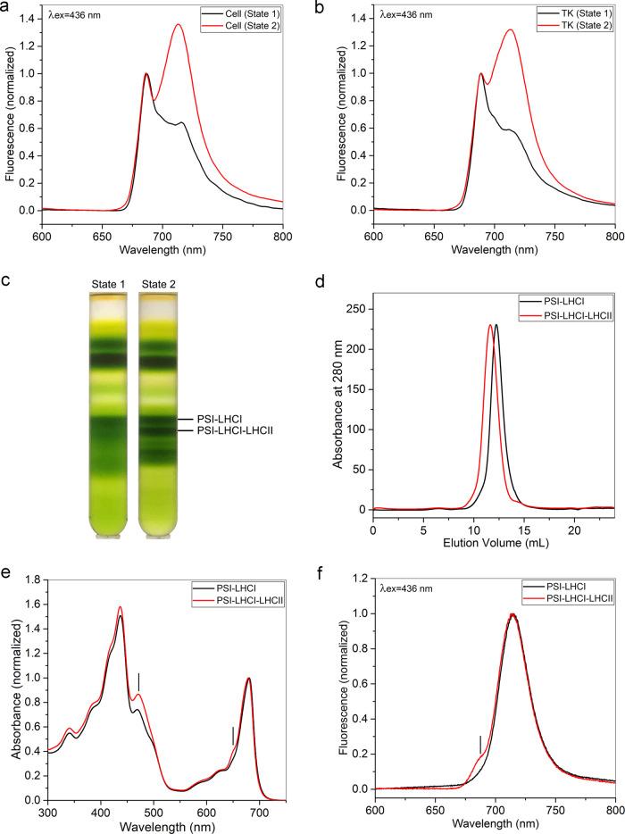 https://cdn.ncbi.nlm.nih.gov/pmc/blobs/0ae7/7889890/a5d46dcd97e6/41467_2021_21362_Fig1_HTML.jpg