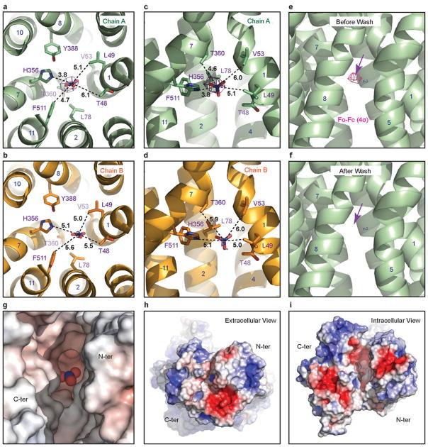 https://cdn.ncbi.nlm.nih.gov/pmc/blobs/0aeb/3968801/5c7a5eef7f0a/nihms559589f13.jpg