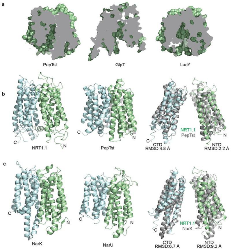 https://cdn.ncbi.nlm.nih.gov/pmc/blobs/0aeb/3968801/91d00830aba5/nihms559589f9.jpg