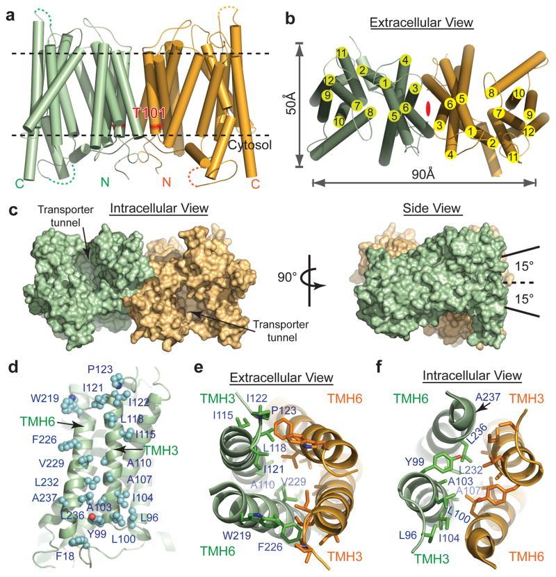 https://cdn.ncbi.nlm.nih.gov/pmc/blobs/0aeb/3968801/d914cdd310d2/nihms559589f2.jpg