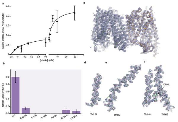https://cdn.ncbi.nlm.nih.gov/pmc/blobs/0aeb/3968801/df3a3d03de6f/nihms559589f8.jpg