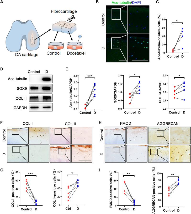 https://cdn.ncbi.nlm.nih.gov/pmc/blobs/0aeb/9674280/624c8f95e812/sciadv.abn8420-f6.jpg