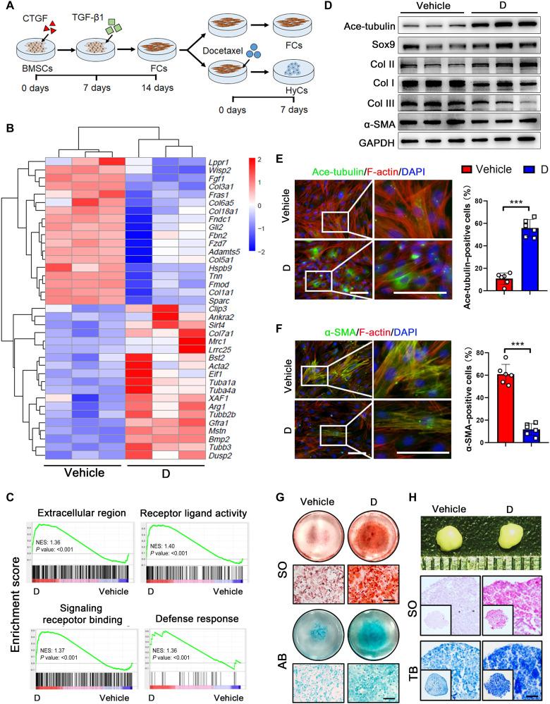 https://cdn.ncbi.nlm.nih.gov/pmc/blobs/0aeb/9674280/8e7c3751b5be/sciadv.abn8420-f3.jpg