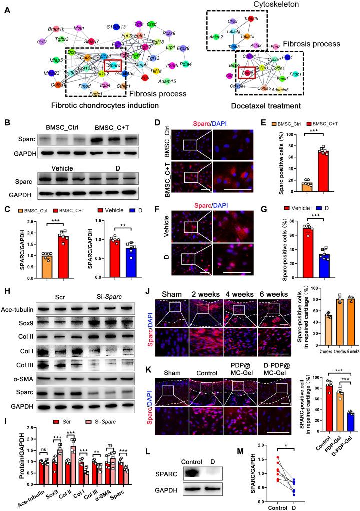 https://cdn.ncbi.nlm.nih.gov/pmc/blobs/0aeb/9674280/f303651f5931/sciadv.abn8420-f7.jpg