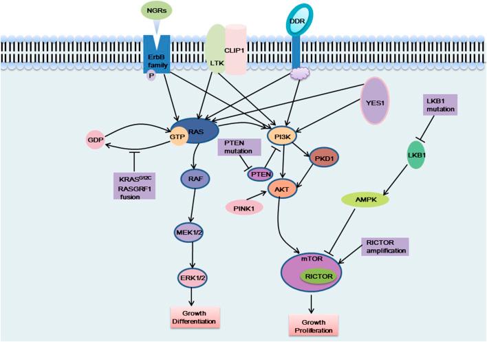 https://cdn.ncbi.nlm.nih.gov/pmc/blobs/0aed/9994183/8ec291c7b6b3/fphar-14-1125547-g002.jpg